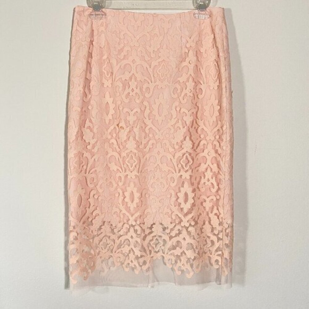 NWT Katherine Kelly Laser Cut Blush Skirt